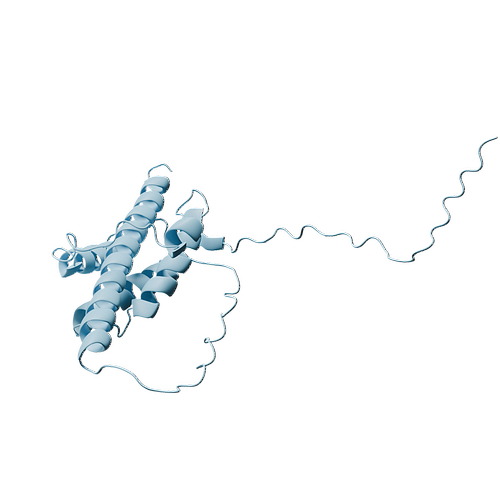 P13232-Human IL-7 -3d structure.jpg